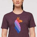 LLAMA STRIPES ORGANIC T-SHIRT