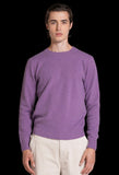 MAGLIONE LAMBSWOOL MALVA